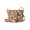 Beige Tree of Life, variant on Women's Fine Art Tapestry Crossbody Bag - Van Gogh Irises Purs