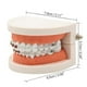 thumbnail image 2 of 1pc Dental Orthodontic Typodont With Ortho Metal Ceramic Bracket Arch Wire Orthodontic Toothed Denture, 2 of 4