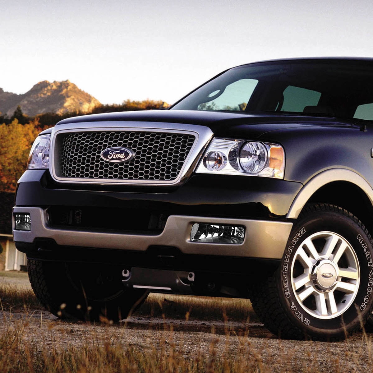 DNA Motoring For 04-06 Ford F150 Lincoln Mark LT Smoked Lens Fog Light Lamps Pair Replacement