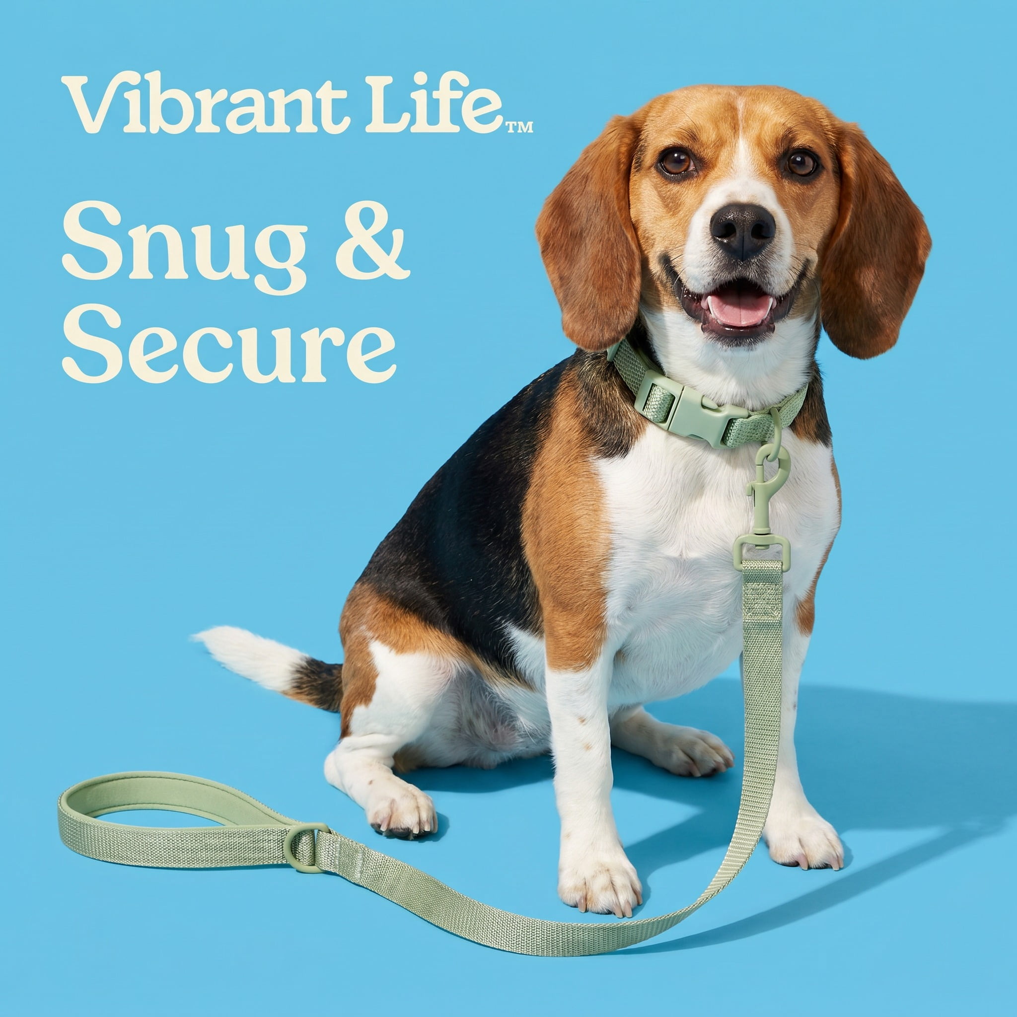 Vibrant Life Neoprene Cushioned Adjustable Dog Collar, Sage Green, S