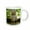 White, variant on 3drose, Eastern Fox Squirrel, Adult Drinking, Hill Country, Texas, 11oz Two-tone Green Mug