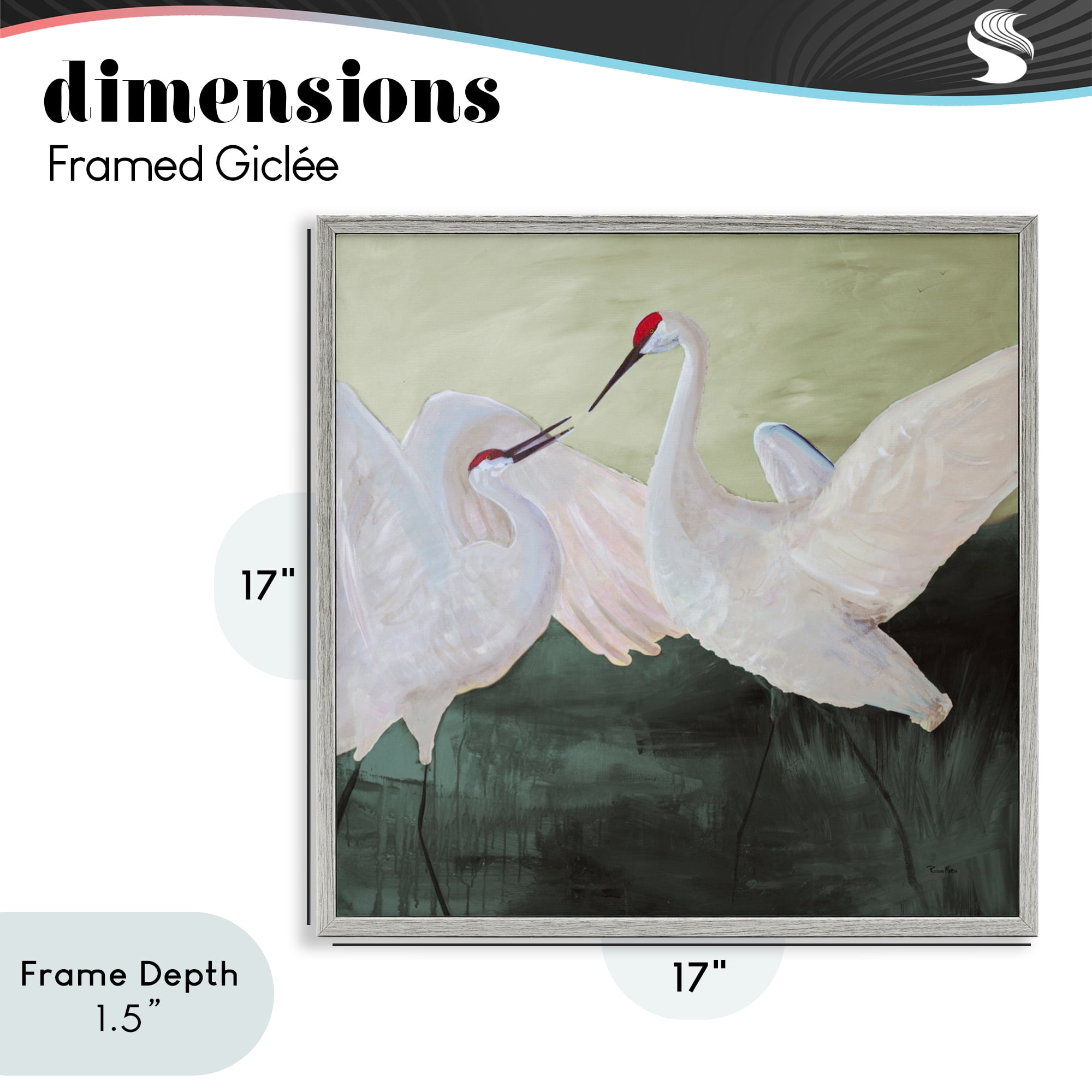 Stupell Industries White Sandhill Cranes Gray Framed Giclee Art, design by Robin Maria
