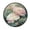 Light Pink Lotus, variant on 36.2 Inch Round Floor Mat Blossoming Lotus Carpet Decor Rug for Living Room Bedroom