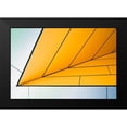 thumbnail image 2 of Wride, Linda 14x11 Black Modern Framed Museum Art Print Titled - Yellow Dart, 2 of 5