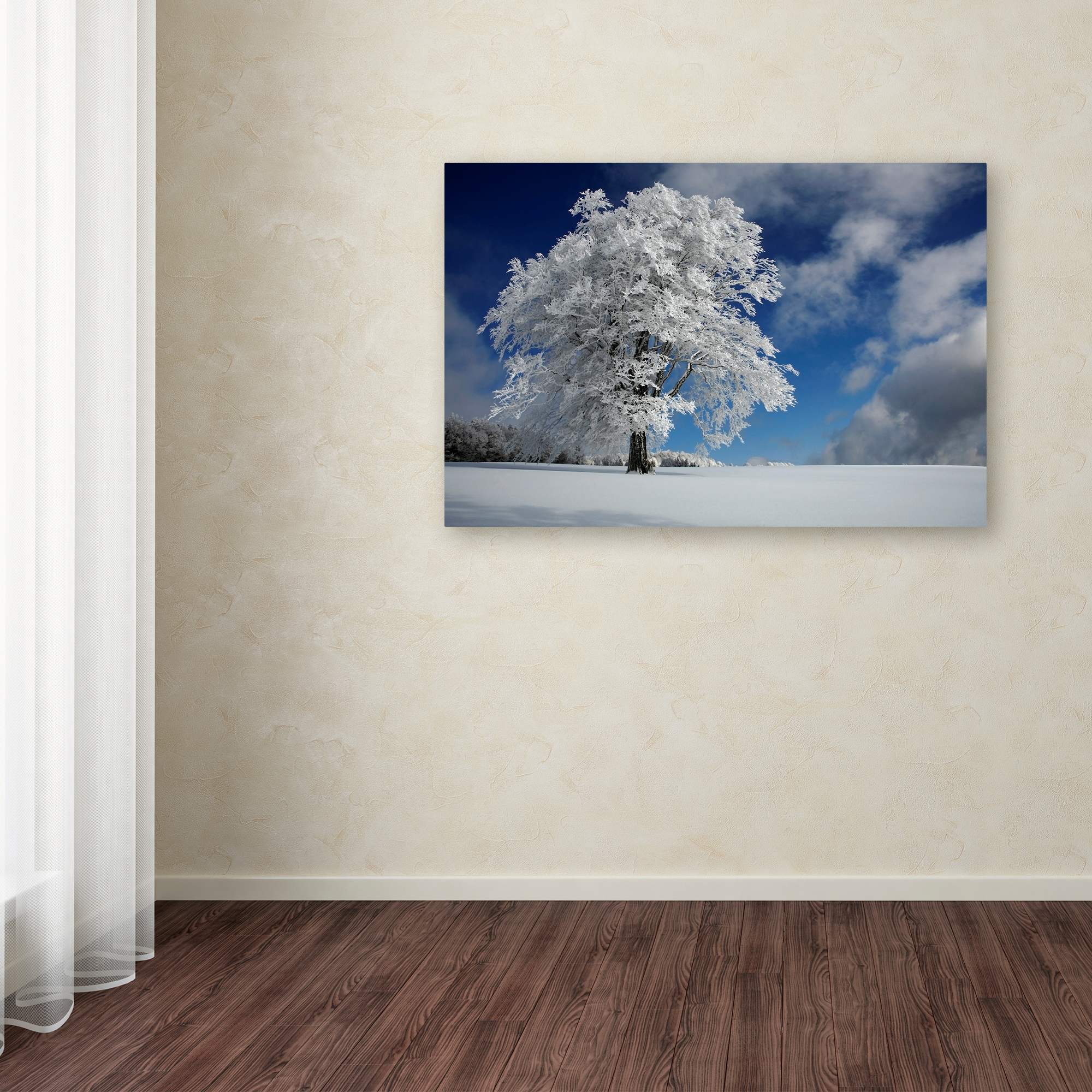 Trademark Fine Art 'White Windbuche In Black Forest' Canvas Art by Franz Schumacher