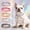 Purple, variant on Pet Artist Personalized Dog Collar Glossy PU Leather with Rose Gold Name Letter and Charm,Adjustable Pet Collars for Extra Small Dogs,Gold,XS