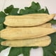 thumbnail image 4 of Estropajo grande para platos de verduras de lufa natural entera para cocina, baño, esponja, exfoliante corporal, ducha, Lufa Loofa Luffa, celulosa, biodegradable, compostable, sin residuos, 4 of 5