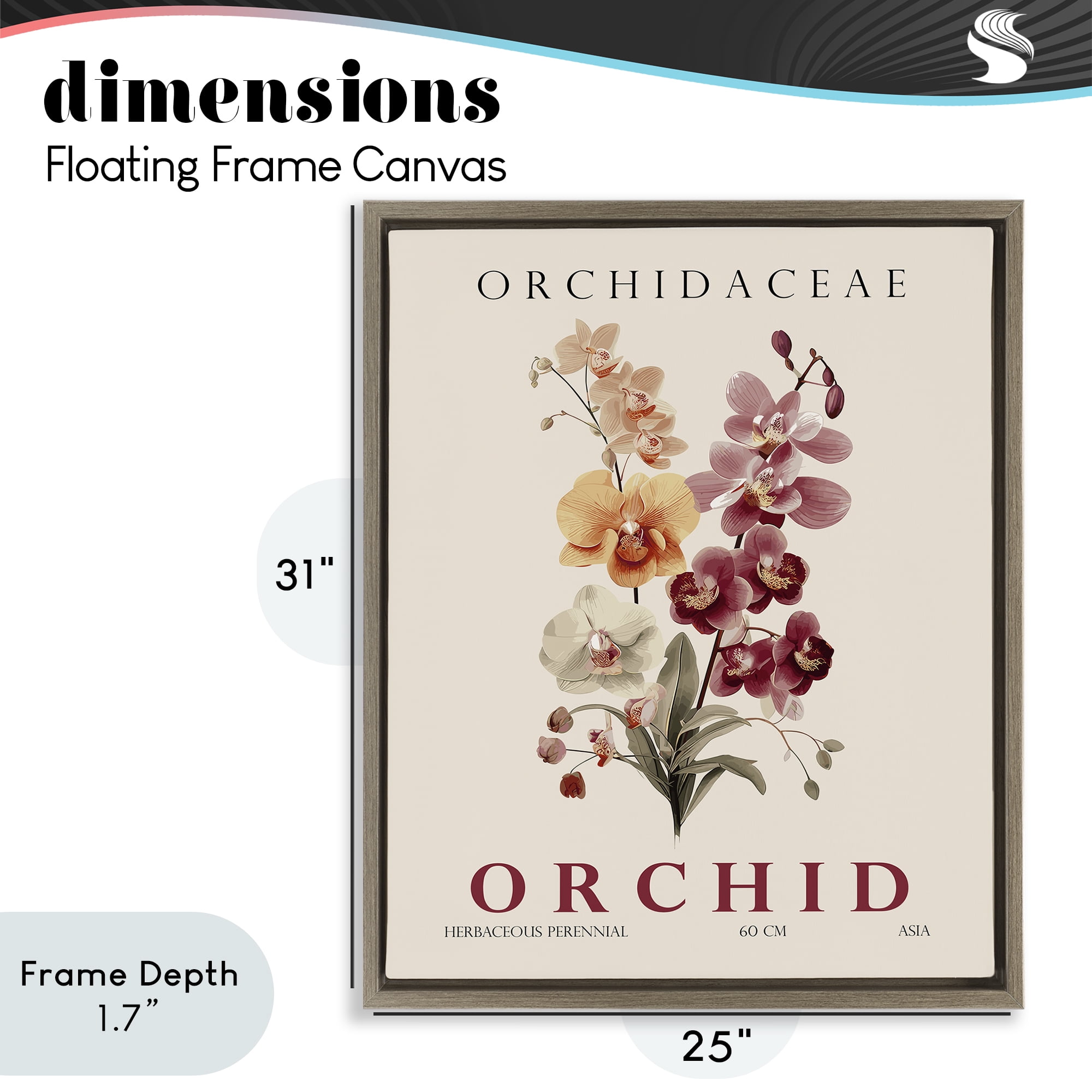 Stupell Industries Natural Orchid Bundle Brown Framed Floater Canvas Wall Art, design by Christopher Giampietro