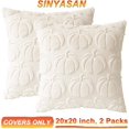 thumbnail image 5 of Cream White Fall Pumpkin Decorative Throw Pillow Covers Set of 2, 20x20 Inch Soft Plush 3D Embroidered Halloween Pillow Covers for Fall Decorations Farmhouse Cushion Covers for Thanksgiving, 5 of 9