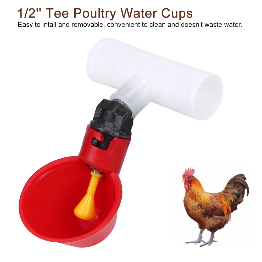 Poultry Feeding Cups 10Pcs Automatic Chicken Water Cups Drinker 1//2inch Tee Poultry Hen Feeding Tools Tee Automatic Poultry Drinkers