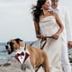 thumbnail image 5 of Esmoquin formal para perro, collar de bandana para boda, collar de perro con pajarita, pajarita ajustable para perro para mascotas pequeñas, medianas y grandes, 5 of 6
