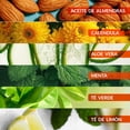 thumbnail image 4 of Crema Nutritiva para Manos | Con T&eacute; Verde, Aloe Vera y Aceite de Almendra | F&oacute;rmula Vegana con Extractos Bot&aacute;nicos para Todo tipo de Pieles | Skin Care | Biune. | 300, 4 of 6