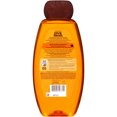 Garnier Whole Blends Monoi Oil & Orange Blossom Extracts Revitalizing Shampoo, 22 fl oz
