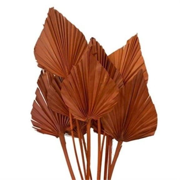 Metrotex Designs 41281 20 in. 10 Stem Palm Spear Bunch, Salmon