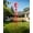 Red, variant on Elleree 8ft Red Ornamental Windmill for Yard Backyard Lawn Farm Decoration Weather Vane,Large Metal Outdoor Garden Wind Mills w/ 4 Legs Design