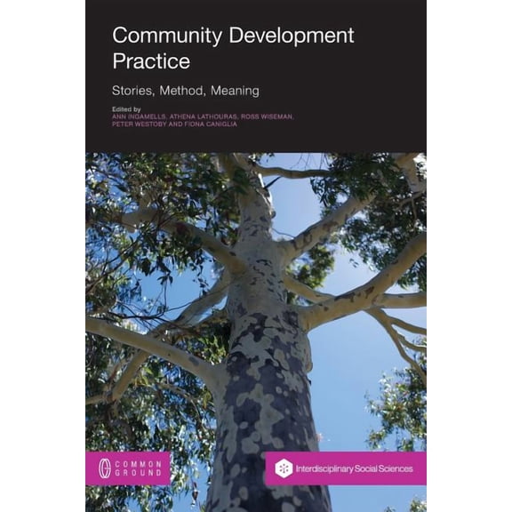 Community Development Practice: Stories, Method and Meaning (Paperback)