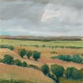 thumbnail image 2 of OToole, Tim 26x26 Gold Ornate Wood Framed with Double Matting Museum Art Print Titled - Brooding Storm I, 2 of 4