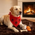 thumbnail image 4 of Halloween Pet Bandana with Skull and Spider Web Print, Dog Neck Scarf Holiday Party Costume Photography Decoration, Polyester, Red, 1 Count, 4 of 6