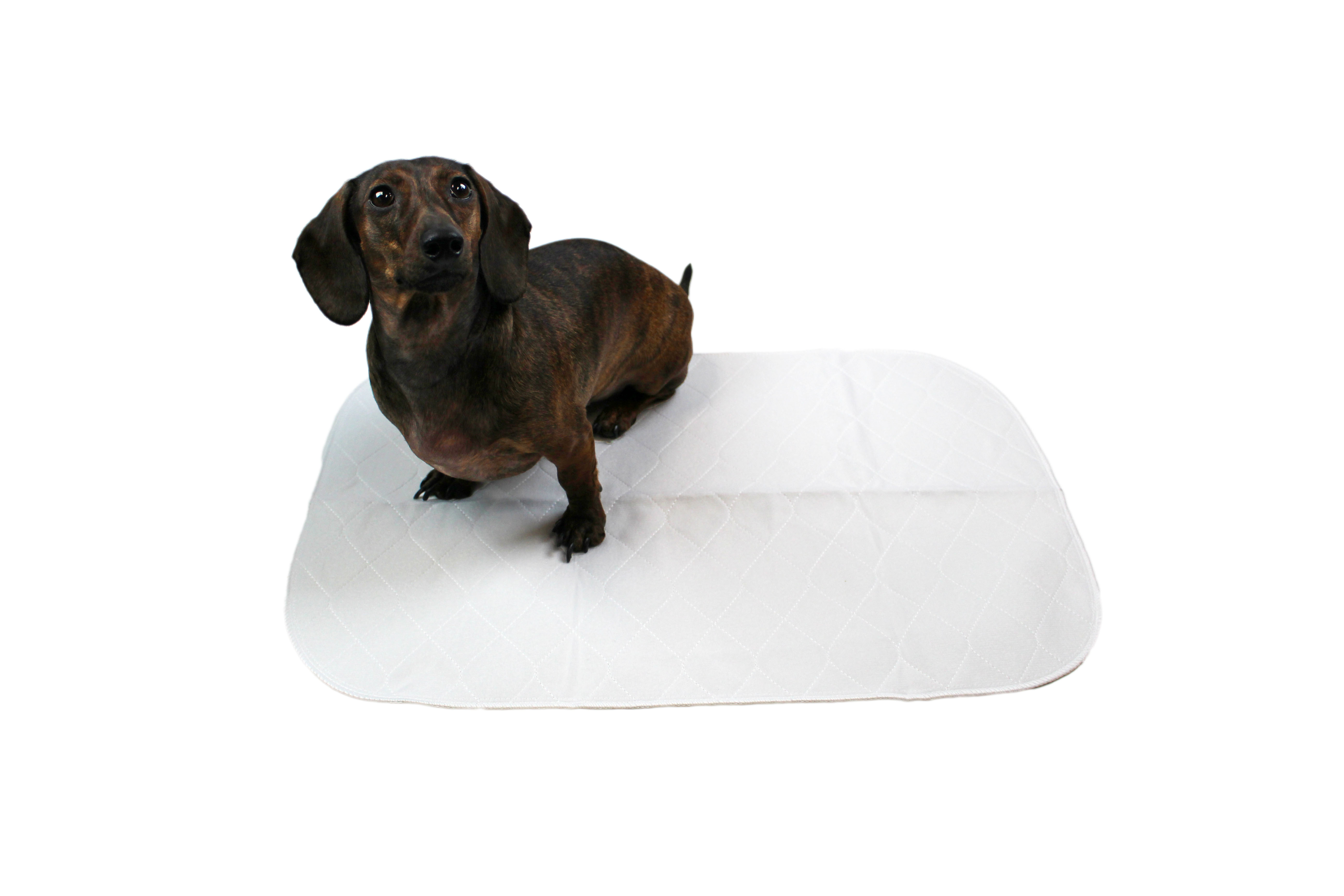 Midlee Reusable Washable Dog Training Pee Pads Pack of 3 (15" x 23