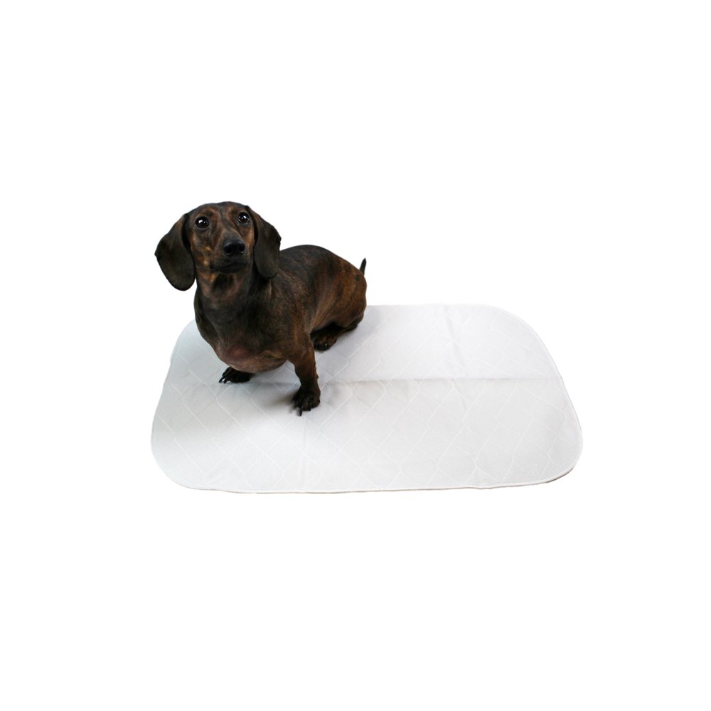 Midlee Reusable Washable Dog Training Pee Pads Pack of 3 (15" x 23