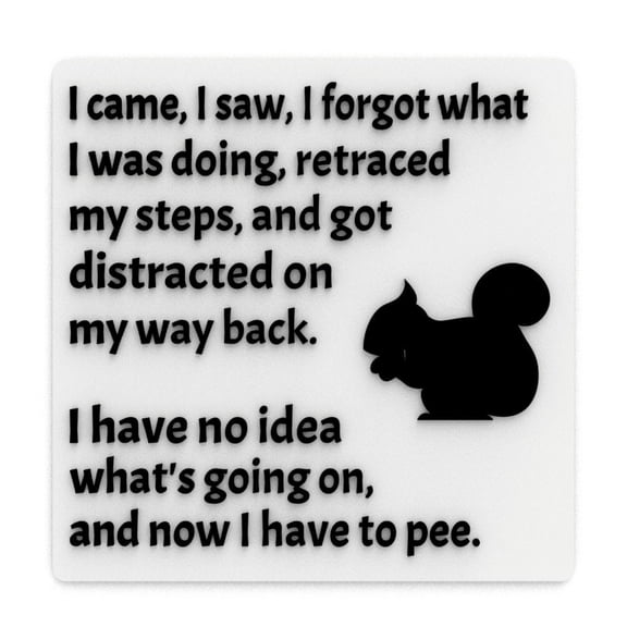 Clever Contraption Funny Sign | I Came, I Saw, I Forgot What I Was Doing – I Have No Idea What's Happening - Black & White