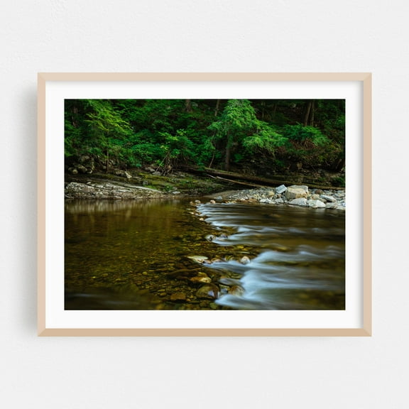 Swimming Hole July (II) - Photography Nature Forest Water Woodland Scenic Landscape Oak Framed Wall Art Print 6 x 8 inches