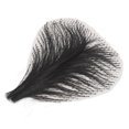 thumbnail image 3 of Cabello privado falso para mujeres, vello púbico falso suave, vello púbico falso, vello púbico sintético diseñado para profesionales, 3 of 9
