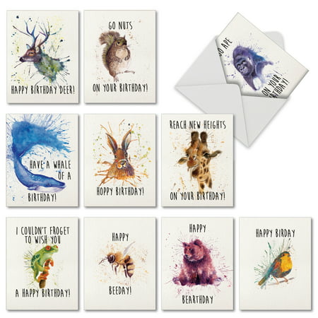 M2954BDB WILDLIFE EXPRESSIONS ' 10 Assorted Birthday Greeting Cards Featuring Watercolored Animals with Birthday Sayings, with Envelopes by The Best Card (Best English Sayings Expressions)