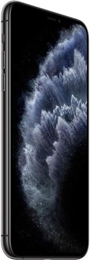 Restored Apple iPhone 11 Pro Max 64GB Space Gray (A2162) Unlocked