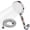 White, variant on Newentor Filtered Shower Head, 6 Spray Modes High Pressure Shower Head with Handheld, One-Hand Adjustment, Anti-Clog Nozzles, 59" Stainless Steel Hose & Adjustable Bracket, White