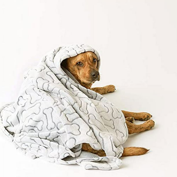 Printy pets cheap blanket
