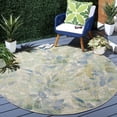thumbnail image 1 of SAFAVIEH Barbados Gresham Botanical Indoor/Outdoor Area Rug, 1 of 9