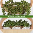 thumbnail image 3 of Plantas colgantes artificiales Floweroyal con cordón, 3 of 7