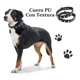thumbnail image 5 of . Collar For Perros Y Gatos Medianos Con Picos De Metal, 5 of 6