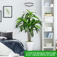 thumbnail image 6 of Scidweet Grow Lights for Indoor Plant, 160 LED 60" Height Adjustable Large Plant Light Full Spectrum Auto on/off Timer 3/9/12H, 6 of 6