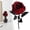 Red, variant on YAZHPA Artificial Roses Bouquet, 1 Pack Faux Black Roses Bundles Fake Rose Flowers Arrangements Halloween Valentine's Day Wedding Decor Black