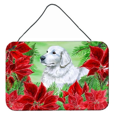 Carolines Treasures CK1323DS812 Maremma Sheepdog Poinsettas Wall or Door Hanging Prints  8x12 multicolor