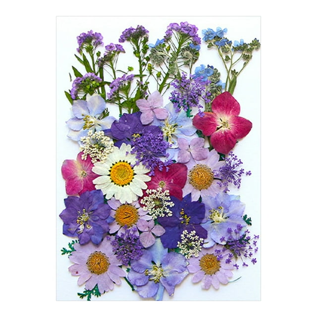 Birdeem Fleurs Séchées et Embossées pour Kit de Résine Bougies et Artisanat