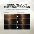 John Frieda Brown Permanent Precision Hair Color Foam Hair Kit, Brown