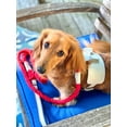 thumbnail image 5 of PoisePup Pet Dog Harness - Hot Marine, 5 of 10
