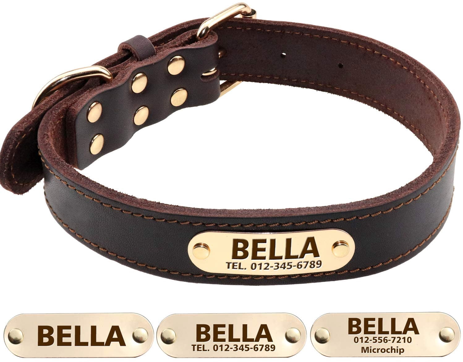 betta fish tank real plants