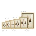 thumbnail image 3 of Bookplate Shells VI - Framed Print w/glass - Natural Wood, 3 of 7