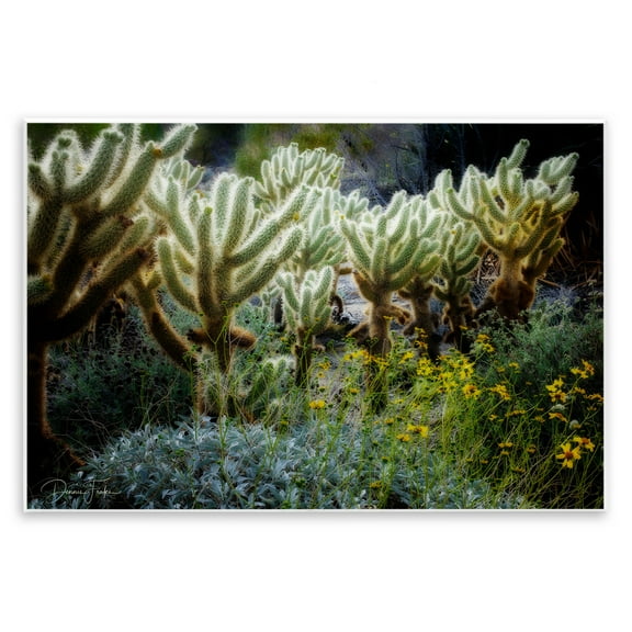 Stupell Industries Desert Cactus Forest Landscape Photography Unframed Art Print Wall Art, 15 x 10
