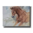 thumbnail image 1 of Epic Graffiti 'Equine Exercise' by Robert Campbell, Canvas Wall Art, 54"x40", 1 of 8
