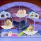 thumbnail image 5 of 3 trampolines decorativos para mascotas, juguetes de pared para hámster, adorables juguetes para mascotas., 5 of 6