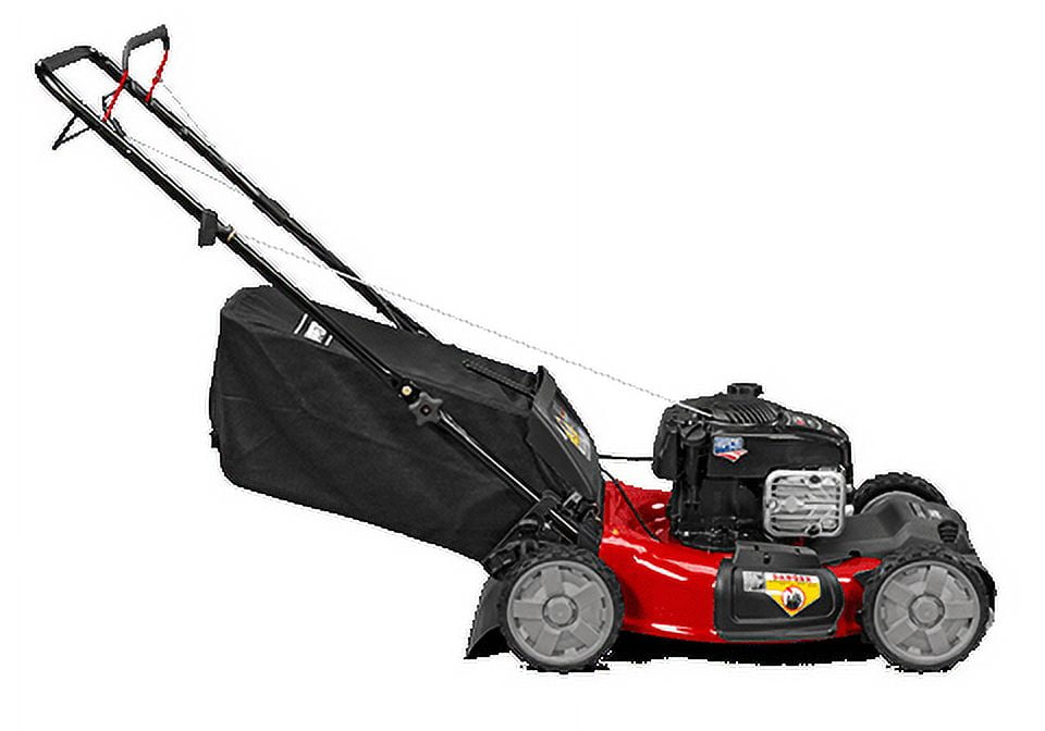 Snapper 21 sale