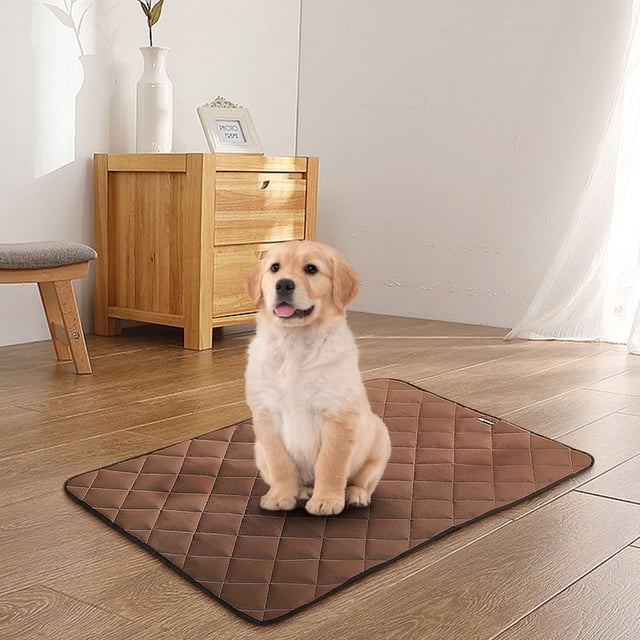 Xihbxyly Cojín Portátil para Mascotas, Suave y Plegable, Aislante y Cálido para Mascotas Pequeñas, Fácil de Limpiar, Tela Cómoda, Multiusos, Ideal para Mascotas de Menos de 7 Kg, Tamaño 50 X 40 Cm