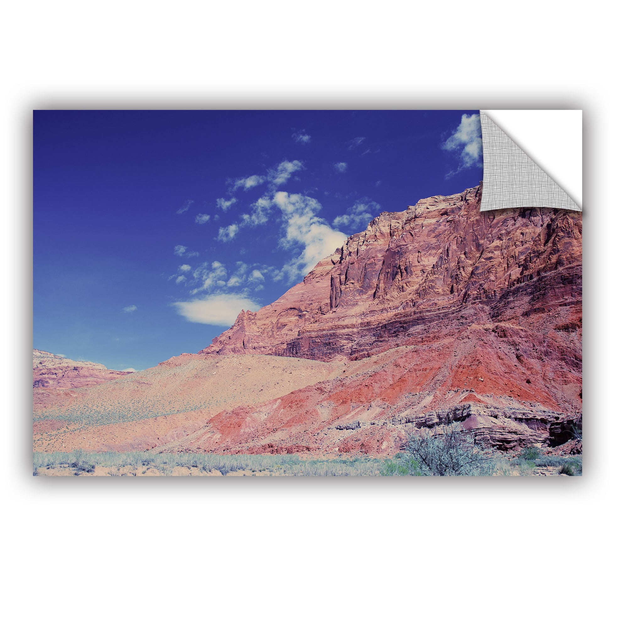 ArtWall Dan Wilson "Utah Paria Canyon" ArtAppealz Removable Wall Art