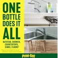 thumbnail image 4 of Pine-Sol Multi-Surface Cleaner, Lemon Fresh, 2 Pack, 100 Ounce. Bottles - All-Purpose Cleaners, 4 of 5