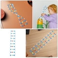 thumbnail image 4 of Shisuyan 2pcs Dna Double Helix Model Components Educational Teaching Model Dna Teaching Molecular Model Self-Assembling Model Dna Model Kit, 4 of 8